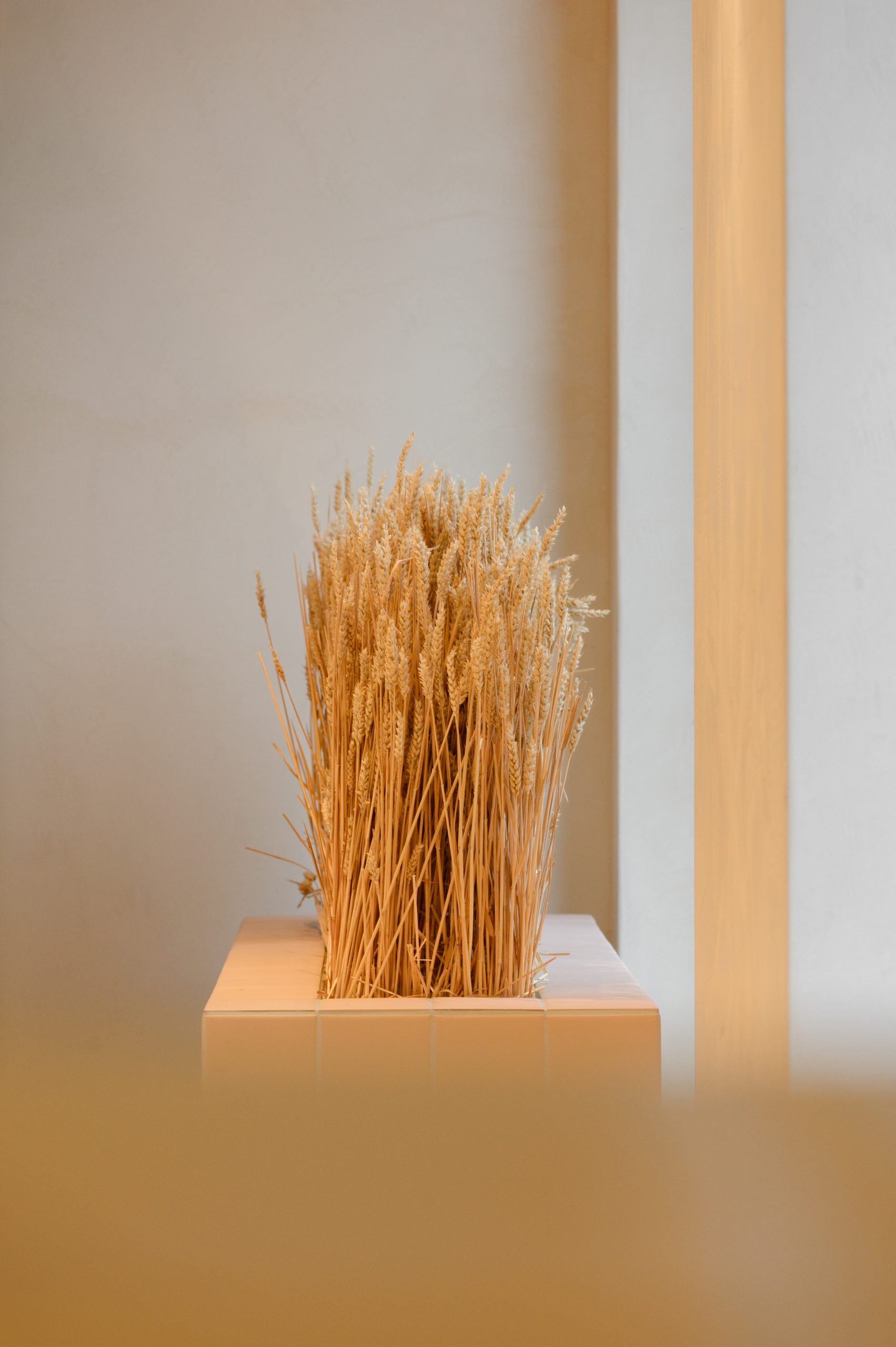 dekorative Weizenähren