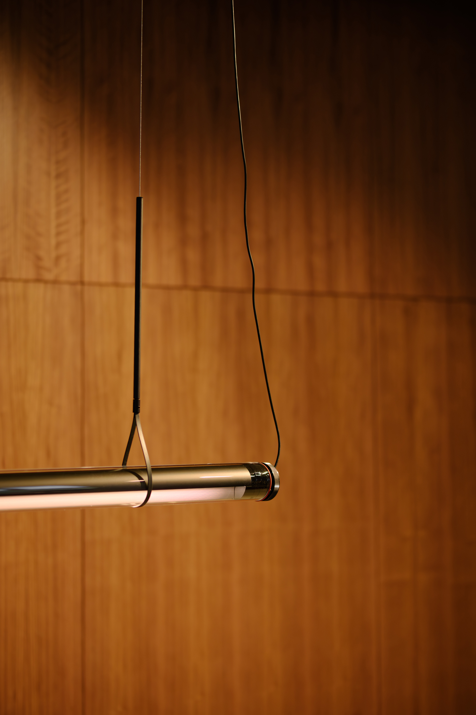 2026 01 Chupenga 2898