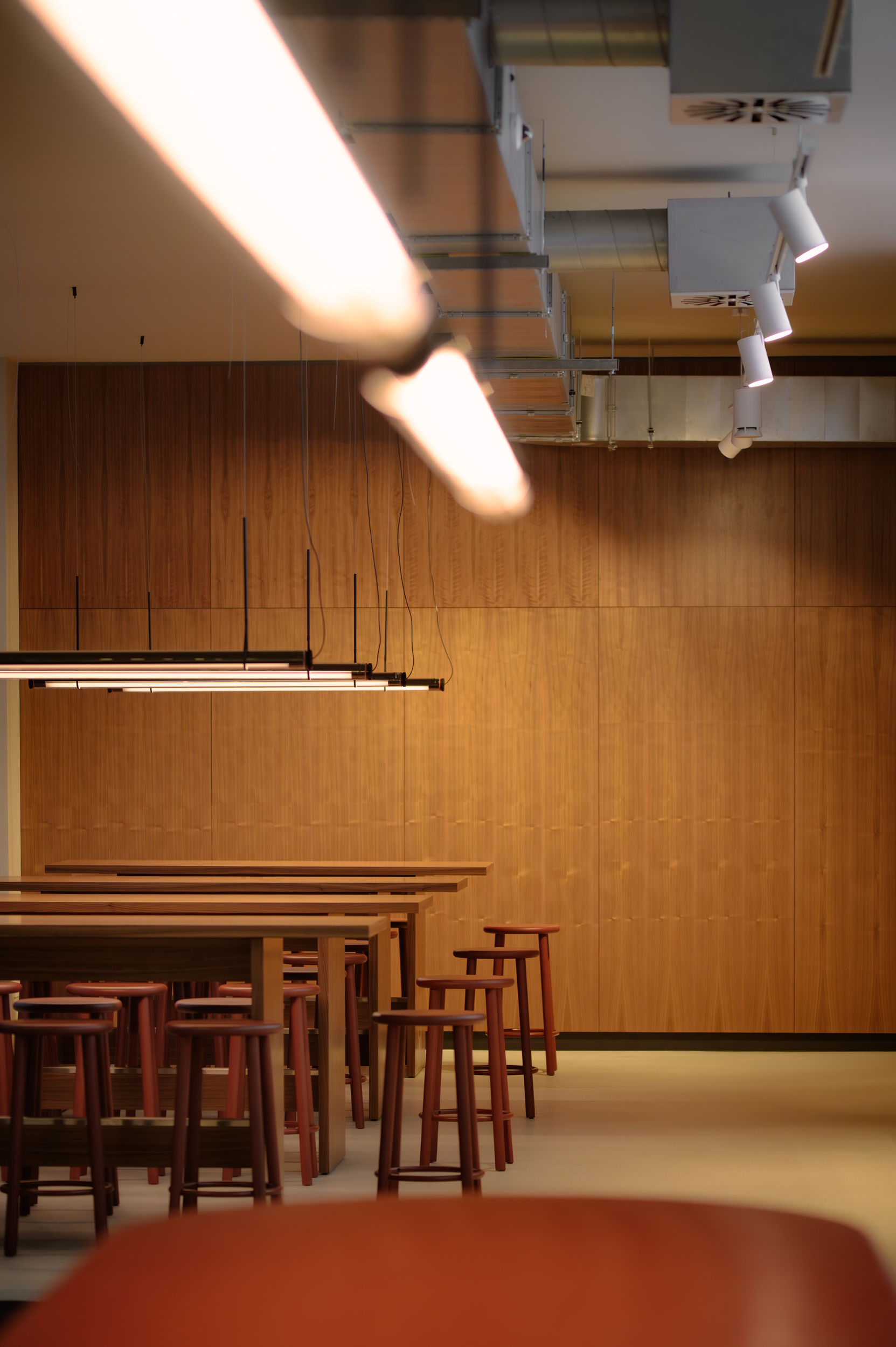 2026 01 Chupenga 2966 1